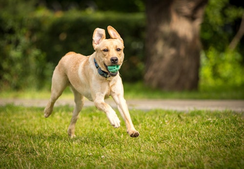 Ygik4bnzhvzjrm Ygik4bnzhvzjrm