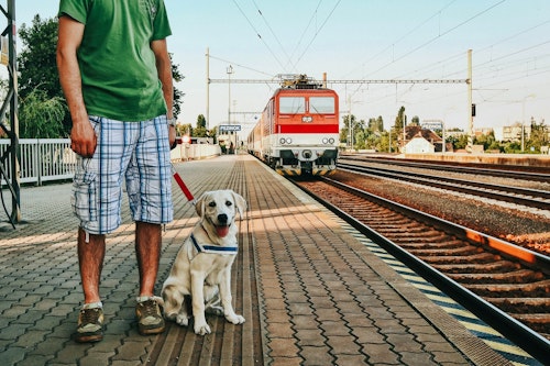 犬を電車に乗せる練習法は 犬と電車に乗るときのマナーや注意点 わんクォール