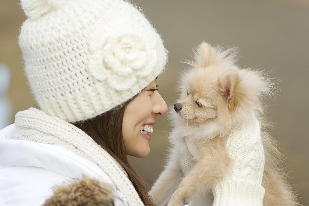 理由を教えて 飼い主さんをペロペロするしぐさに隠れた犬の気持ち Communication コミュニケーション わんクォール