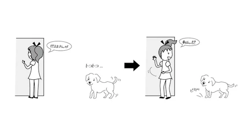 遊んで学ぶ しつけ だるまさんが転んだ マテの練習になる わんクォール