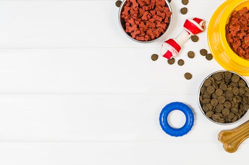 理由を教えて 飼い主さんをペロペロするしぐさに隠れた犬の気持ち わんクォール