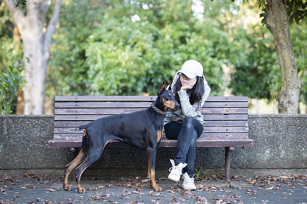 愛犬のストレスを見抜こう その行動 じつは ストレスサイン かも Communication コミュニケーション わんクォール