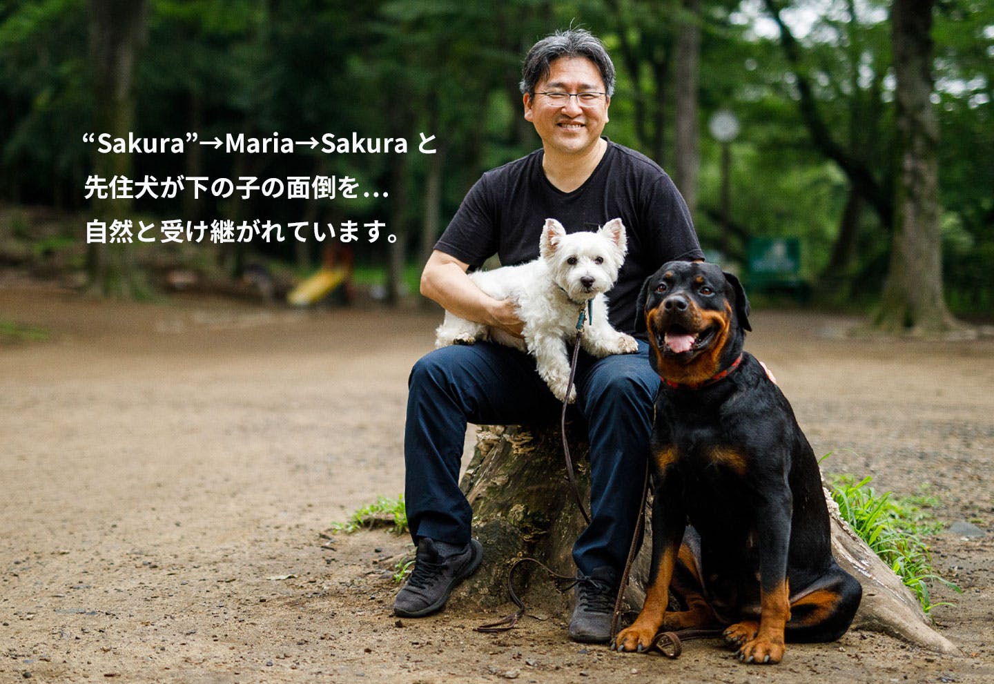 愛犬家の一日《WanScene079》Tony & まりあ・さくら