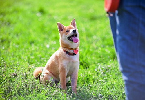 uhmwrqfqgblm uhmwrqfqgblm