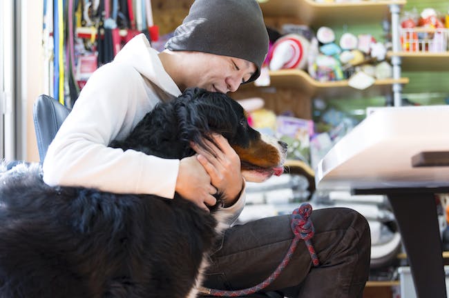 アニマルコミュニケーション　愛犬