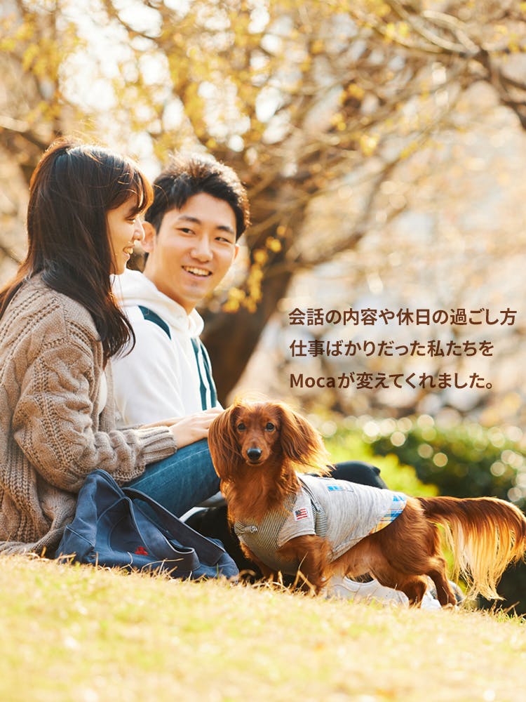 愛犬家の一日《WanScene059》さわ・もりもり & モカ（カニンヘン