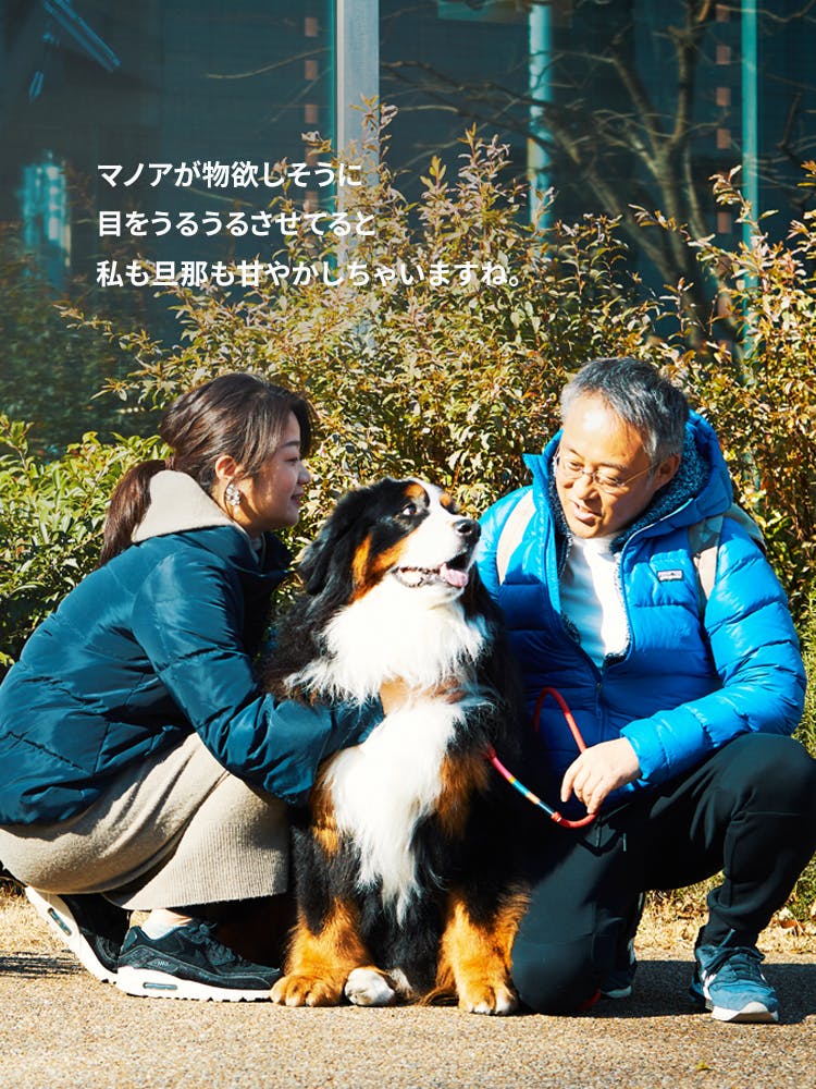 愛犬家の一日《WanScene027》浩一・ひろこ & マノア（バーニーズ