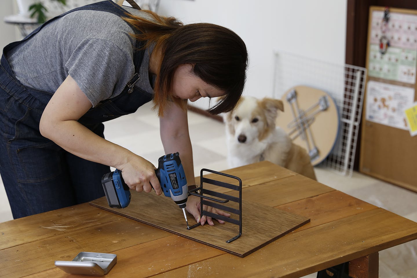 犬DIY  手作り足上げトイレ　棚板をブラケットに取り付ける