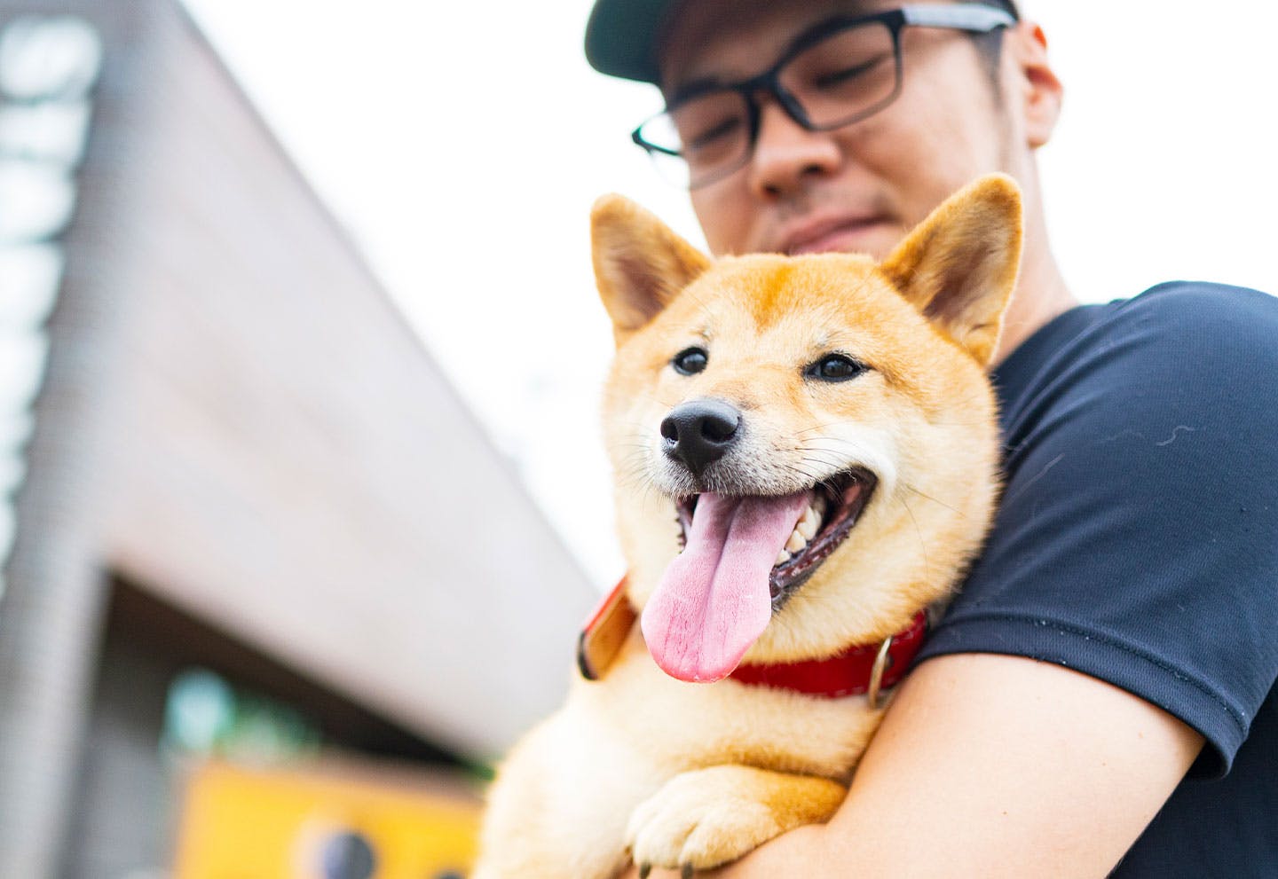 カインズ新座店のドッグランで出会った柴犬とと暮らすご家族