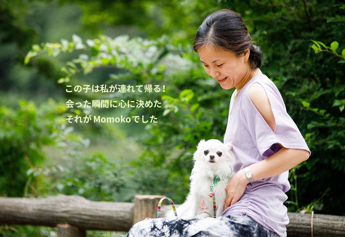愛犬家の一日《WanScene075》みほ & ももこ(チワワ)