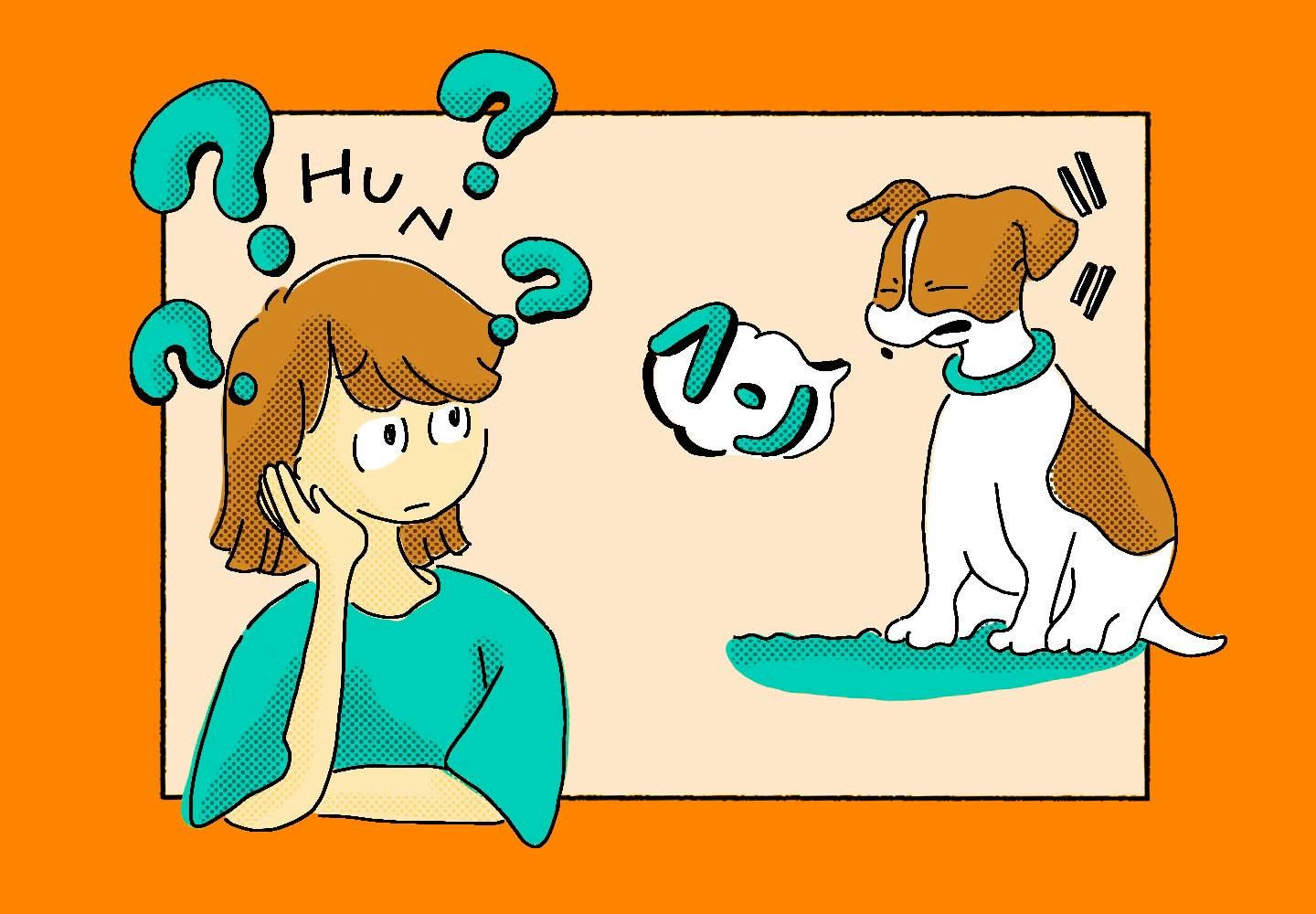 獣医師監修 犬の鳴き声には理由がある 鳴き方で分かる気持ちと しつけや対処法について解説 わんクォール