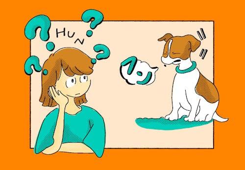 犬がフン と鼻を鳴らす理由は 甘えたいなどの気持ちと呼吸器系の病気の見極め方を解説 獣医師監修 わんクォール