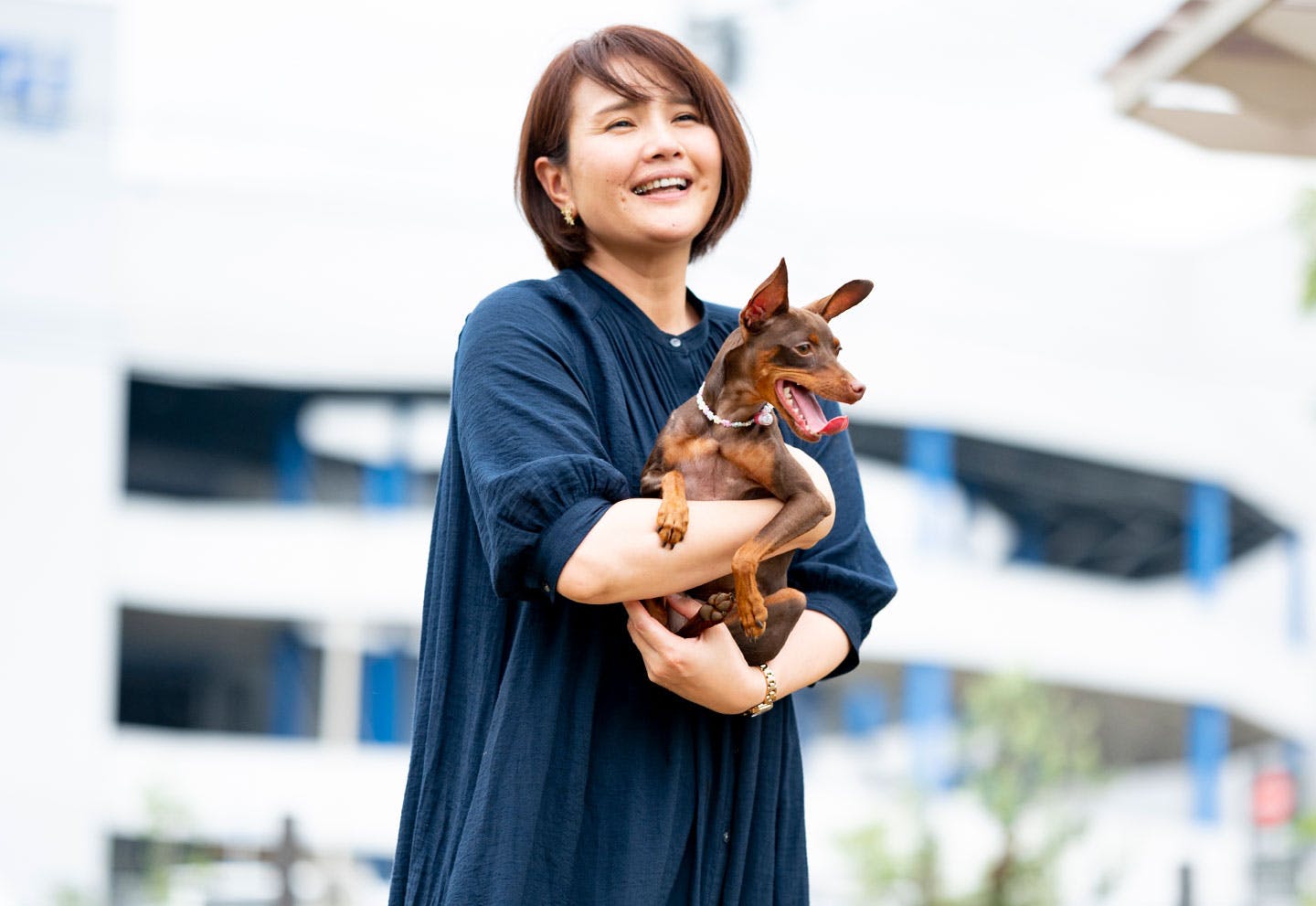 ミニチュアピンシャー　愛犬による家族の変化