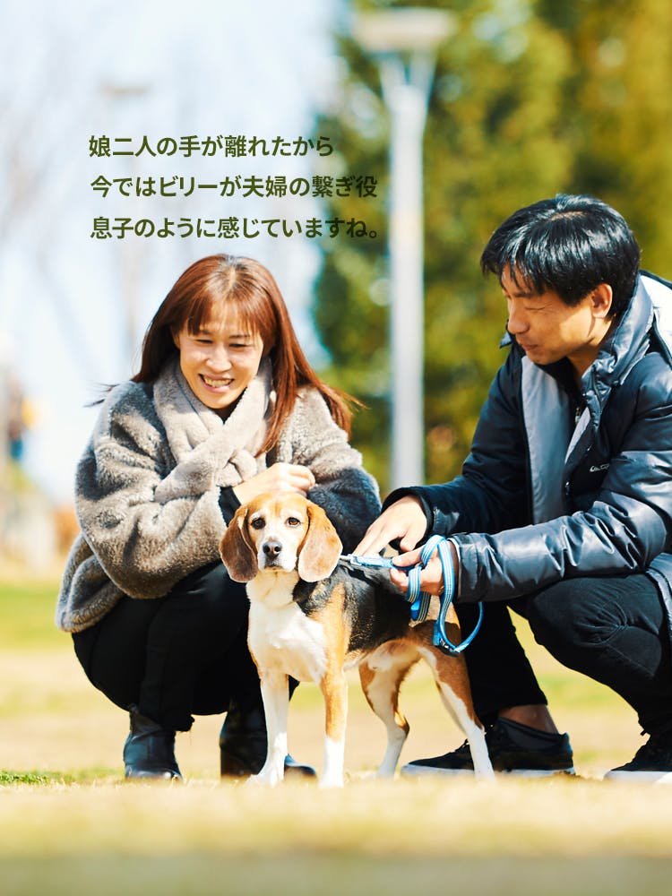 愛犬家の一日《WanScene051》大西和也・章子 & ビリー（ビーグル