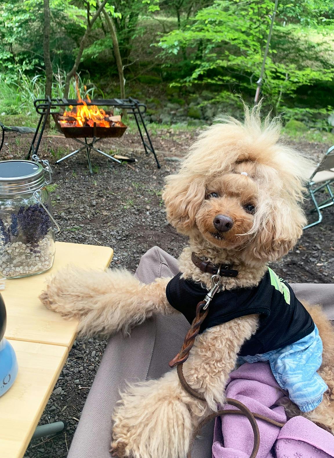 天子の森オートキャンプ場　愛犬と朝食