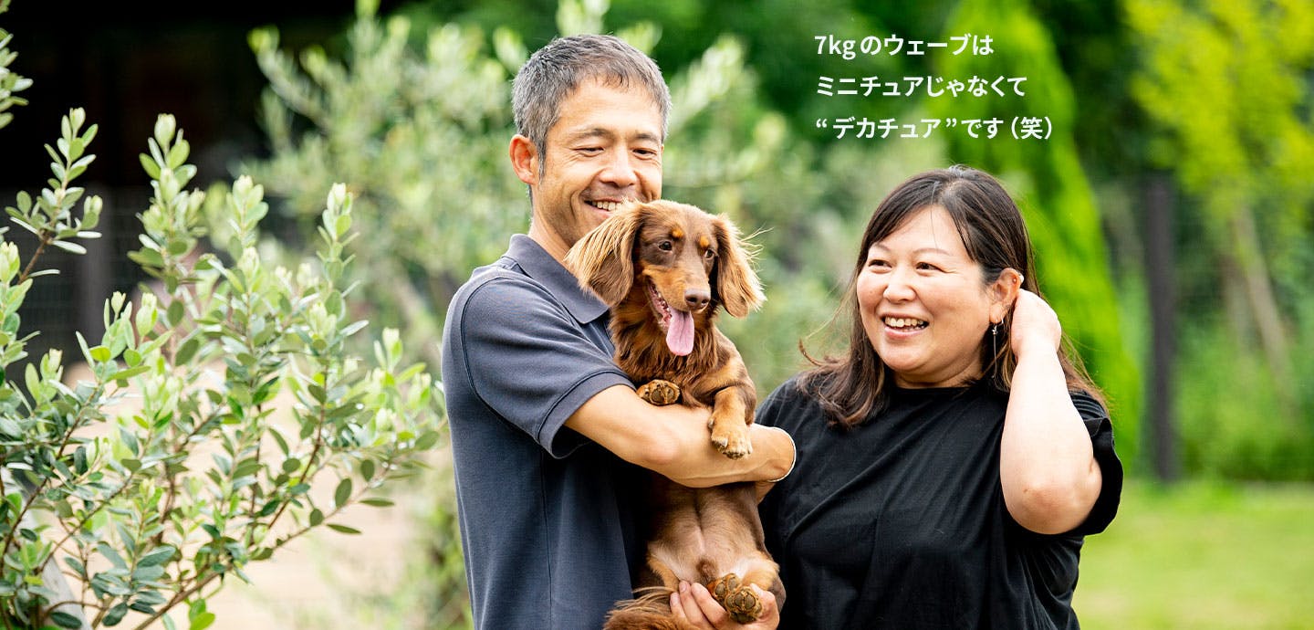愛犬家の一日《WanScene89》 ichicoさん&ウェーブ（ミニチュアダックス