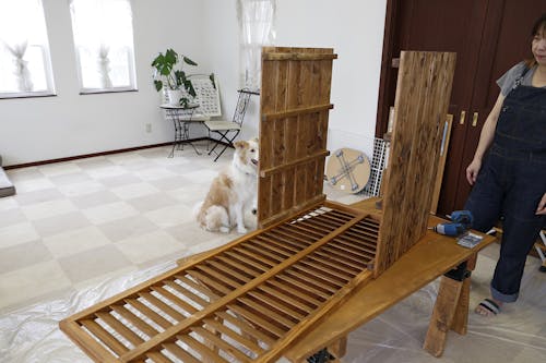 Dog Diy 大型犬専用 インテリアドッグトイレ を作ろう わんクォール