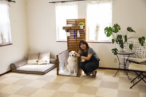 Dog Diy 大型犬専用 インテリアドッグトイレ を作ろう わんクォール Dog Diy 大型犬専用 インテリアドッグトイレ を作ろう わんクォール