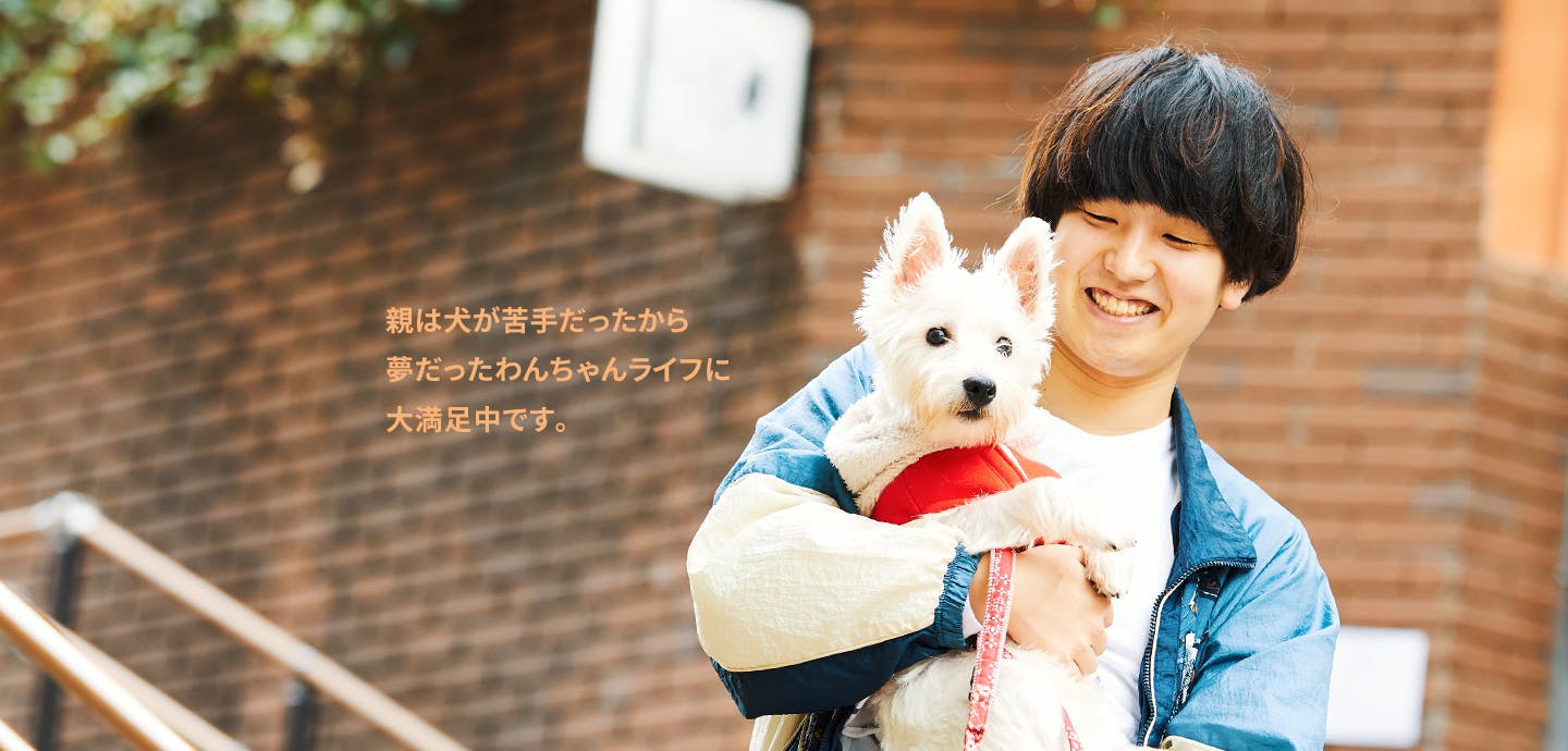 愛犬家の一日《WanScene034》よしひろ & しらたき(ウエスト・ハイランド・ホワイト・テリア)