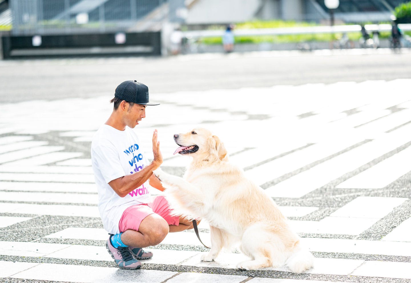 愛犬家の一日《WanScene88》 篠崎さん & むぎ（ゴールデンレトリーバー 