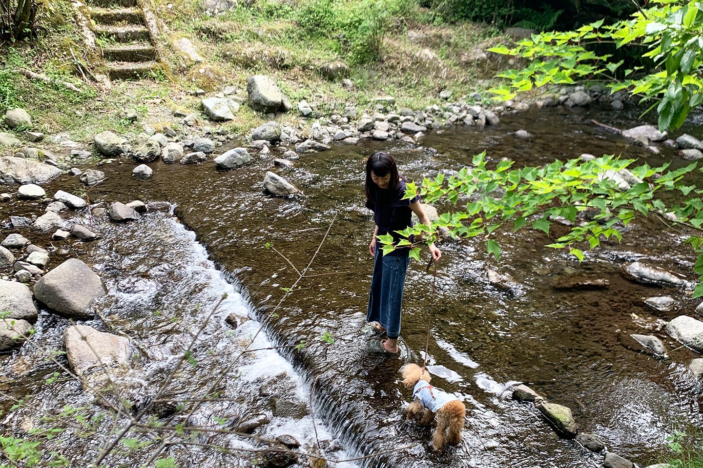 天子の森オートキャンプ場　愛犬と川遊び