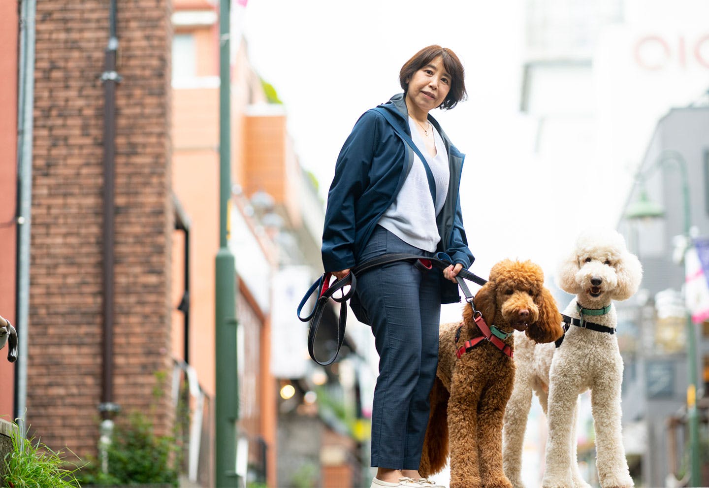 愛犬家の一日《WanScene071》さちえ & ハク・ロッソ（スタンダード・プードル）|ワンクォール