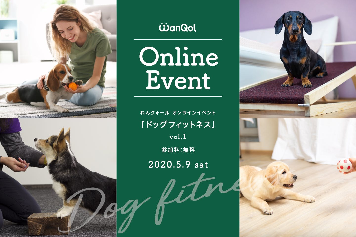 【5/9オンラインドッグフィットネス開催】(無料)わんちゃんのコンディションを整えましょう