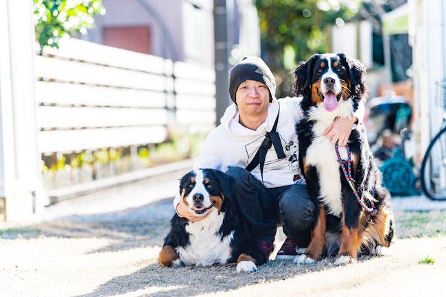 犬に蚊取り線香は大丈夫 使用時の注意点と犬用の虫よけグッズを選ぶポイントを紹介 獣医師監修 わんクォール