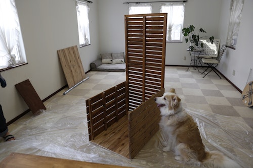 Dog Diy 大型犬専用 インテリアドッグトイレ を作ろう わんクォール Dog Diy 大型犬専用 インテリアドッグトイレ を作ろう わんクォール