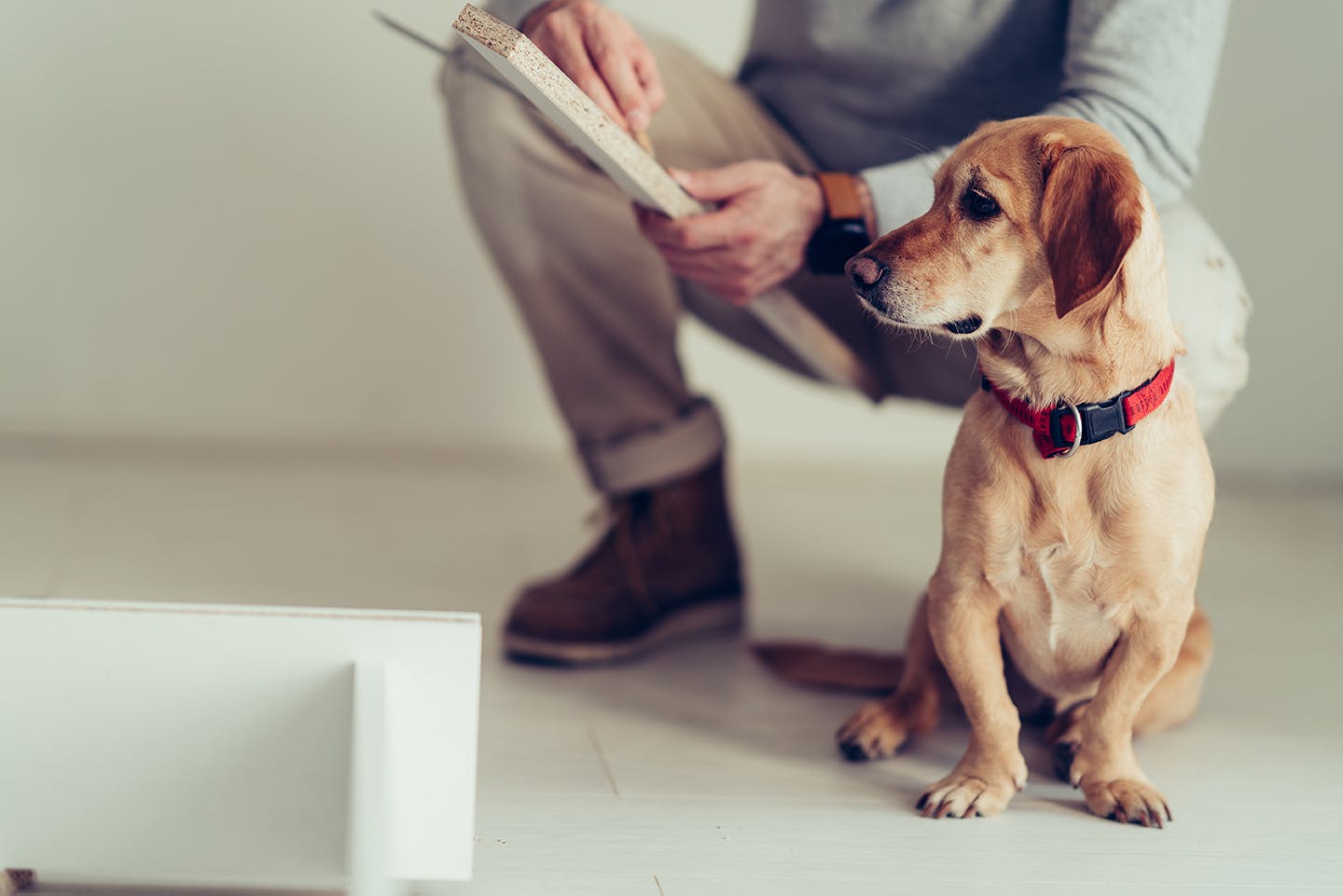 プロに学ぶ！リフォームプラン② 夫婦と愛犬が暮らす家