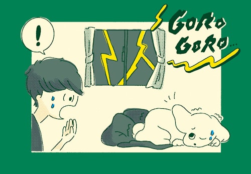 犬が雷を怖がる理由と対処法とは 逆効果になる飼い主のng行動や留守番中はどうすればいいかについて解説 獣医師監修 わんクォール 犬が雷を怖がる理由と対処法とは 逆効果になる飼い主のng行動や留守番中はどうすればいいかについて解説 獣医師監修 わんクォール