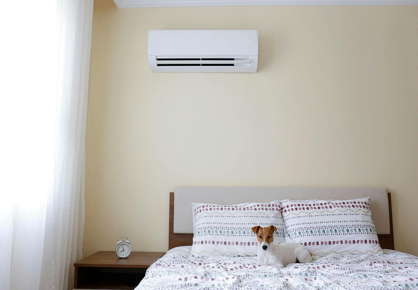 獣医師監修 室内犬の暑さ対策に冷房は必要 犬の適温や使用する時の注意点を解説 Illness 病気 わんクォール