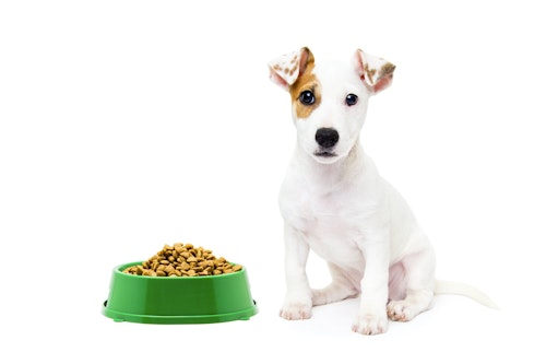 本当によいドッグフードとは ドッグフードに関する疑問にお答え わんクォール 本当によいドッグフードとは ドッグフードに関する疑問にお答え わんクォール