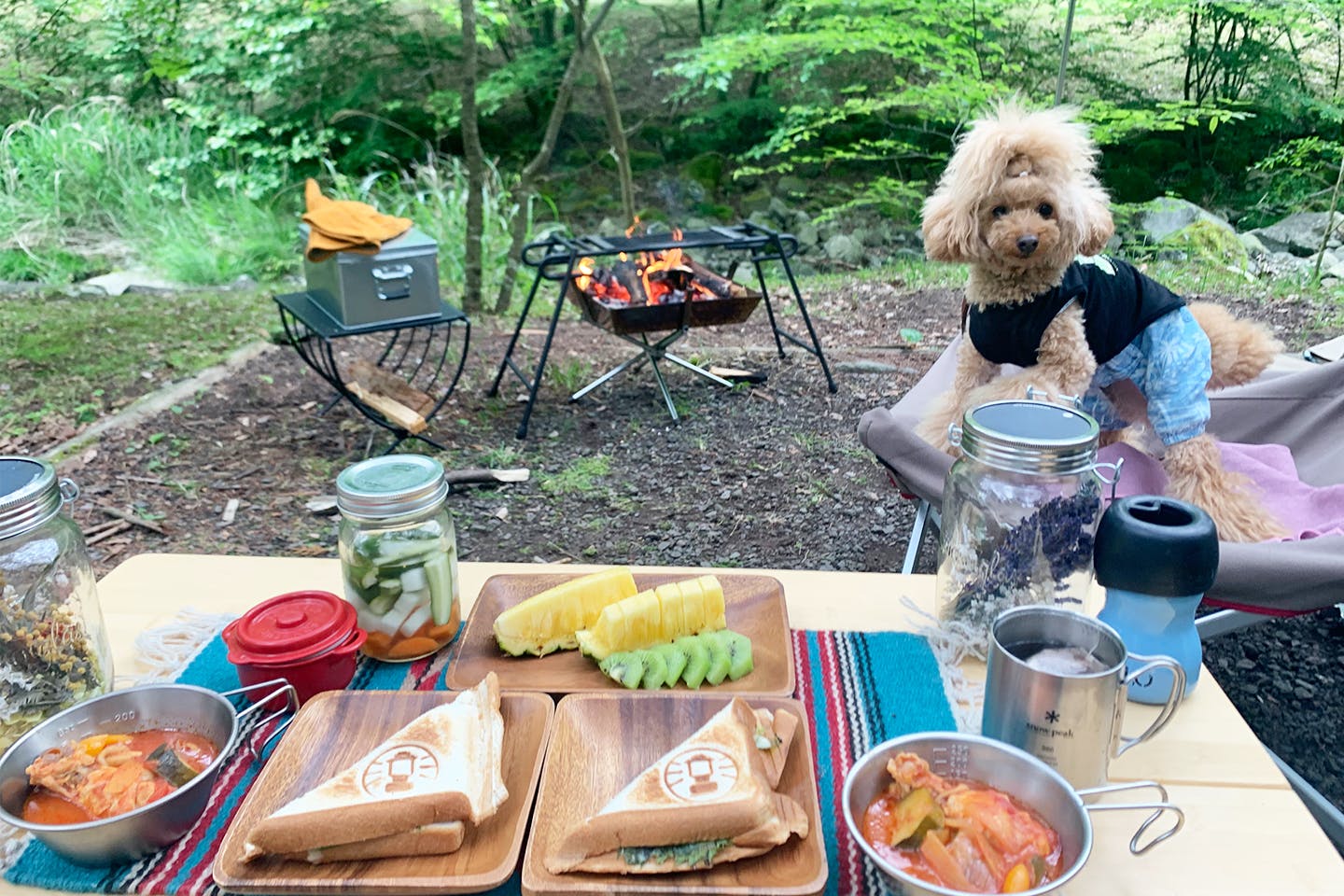 天子の森オートキャンプ場　愛犬と朝食