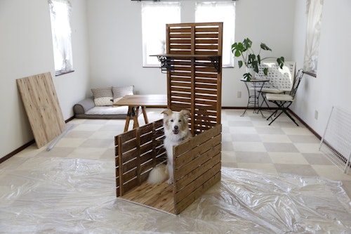 Dog Diy 大型犬専用 インテリアドッグトイレ を作ろう わんクォール Dog Diy 大型犬専用 インテリアドッグトイレ を作ろう わんクォール