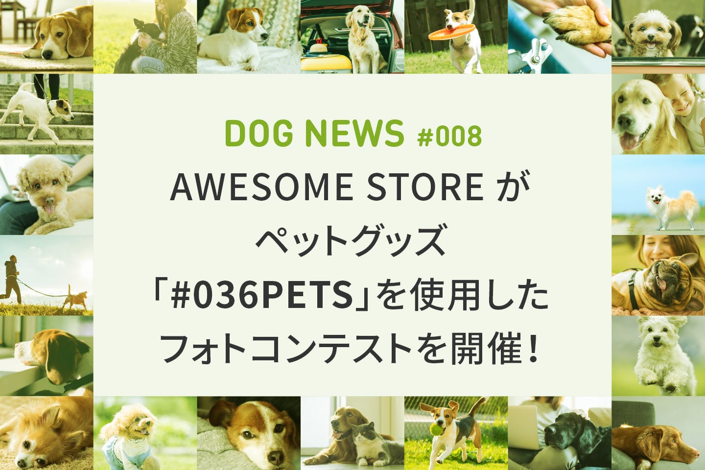 フォトコンテストに参加しよう!ペットグッズ「#036PETS」を使用した写真を大募集!