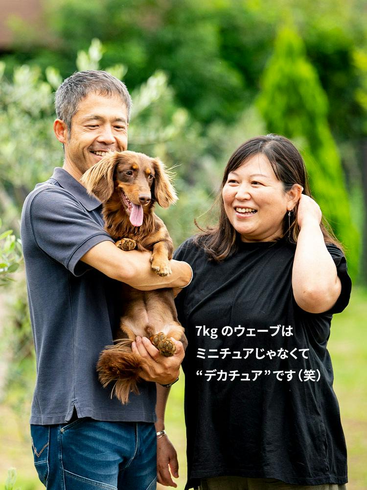 愛犬家の一日《WanScene89》 ichicoさん&ウェーブ（ミニチュアダックス