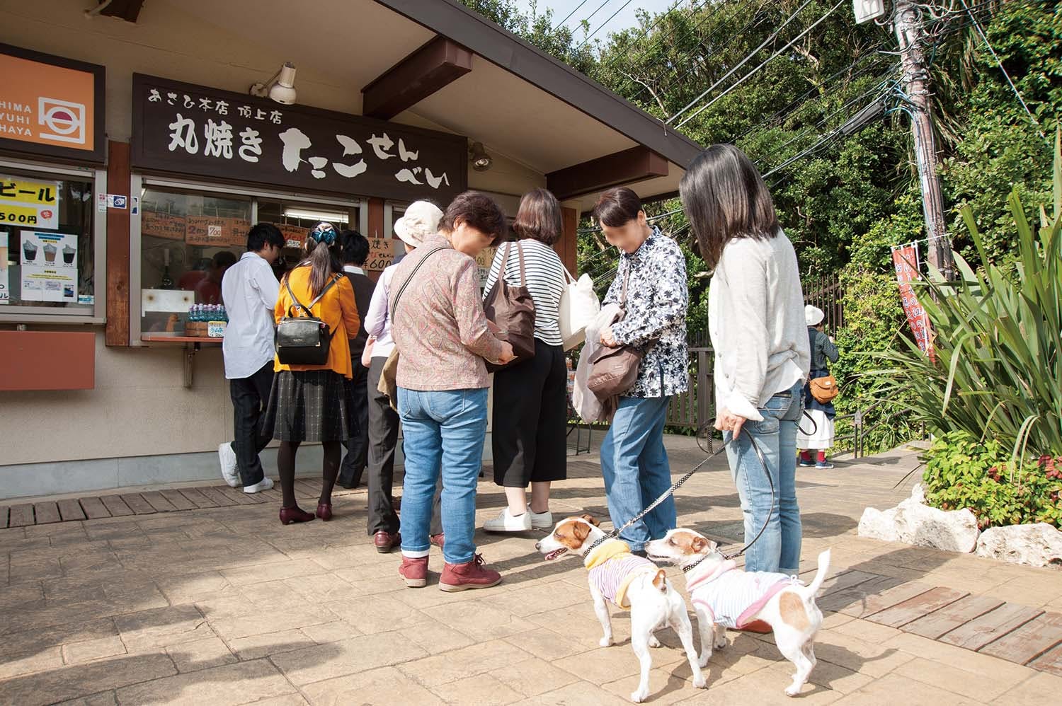 オーシャンビューを楽しむならここ さわやかな海風に吹かれるパワースポット散歩 江の島 Active おでかけ わんクォール