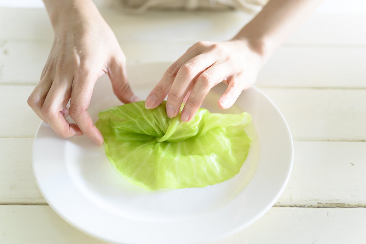 ひき肉をのせてキャベツを巻く