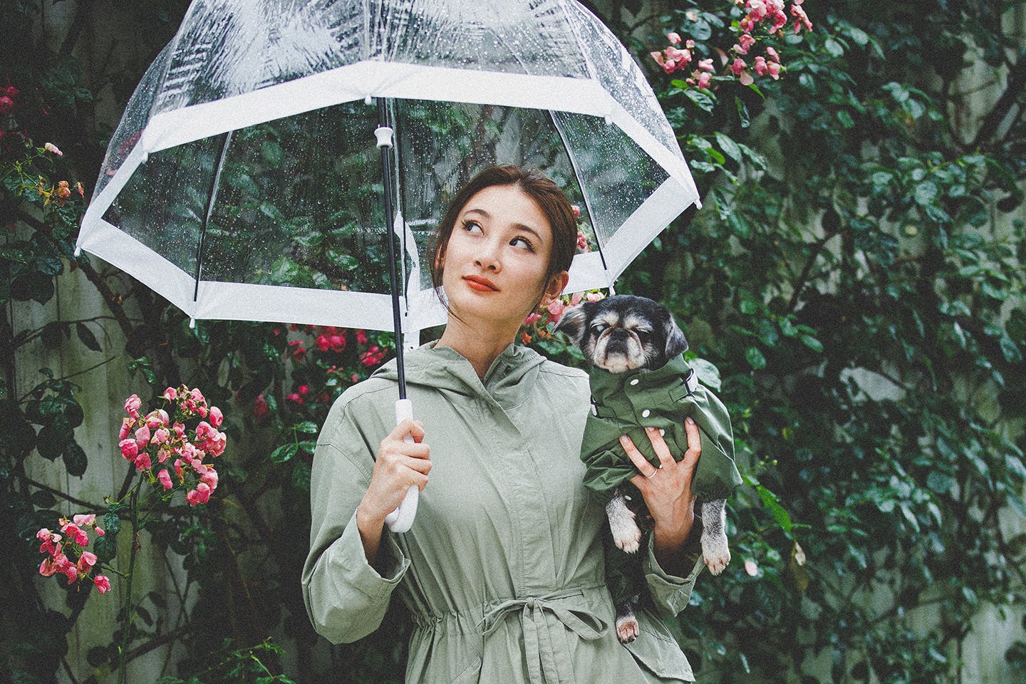 愛犬と雨の日もオシャレをしよう！WanStyle ss Rainlook Edition