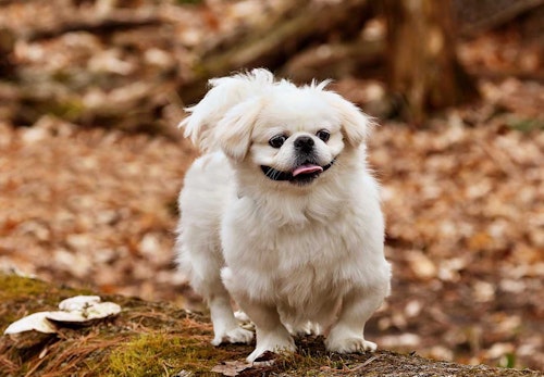 8jfqzzogr2hckm 8jfqzzogr2hckm