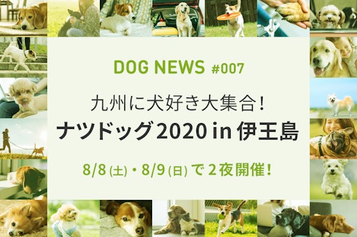 犬好き大集合！真夏のナイト・ドッグフェス「ナツドッグ2020 in 伊王島」開催！