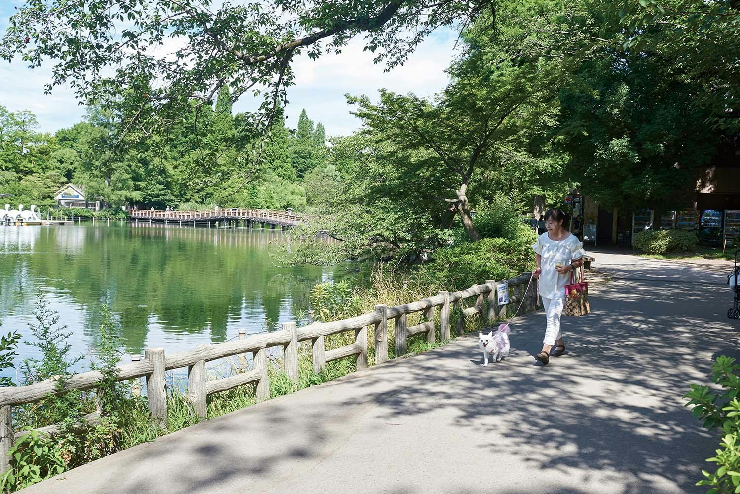 人気の住みたい街はわんちゃんにも優しい 緑とアートを楽しみながら雑貨とカフェを巡る散歩 吉祥寺 わんクォール