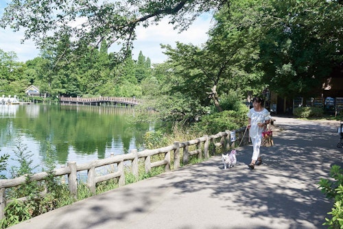 Ak1bxh Ttr5im Ak1bxh Ttr5im