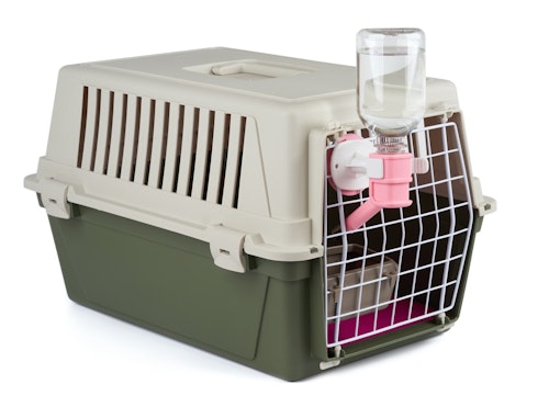 子犬を上手に留守番させるには 安全を守るためのしつけと心がけ わんクォール 子犬を上手に留守番させるには 安全を守るためのしつけと心がけ わんクォール