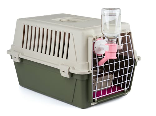 子犬を上手に留守番させるには 安全を守るためのしつけと心がけ わんクォール 子犬を上手に留守番させるには 安全を守るためのしつけと心がけ わんクォール