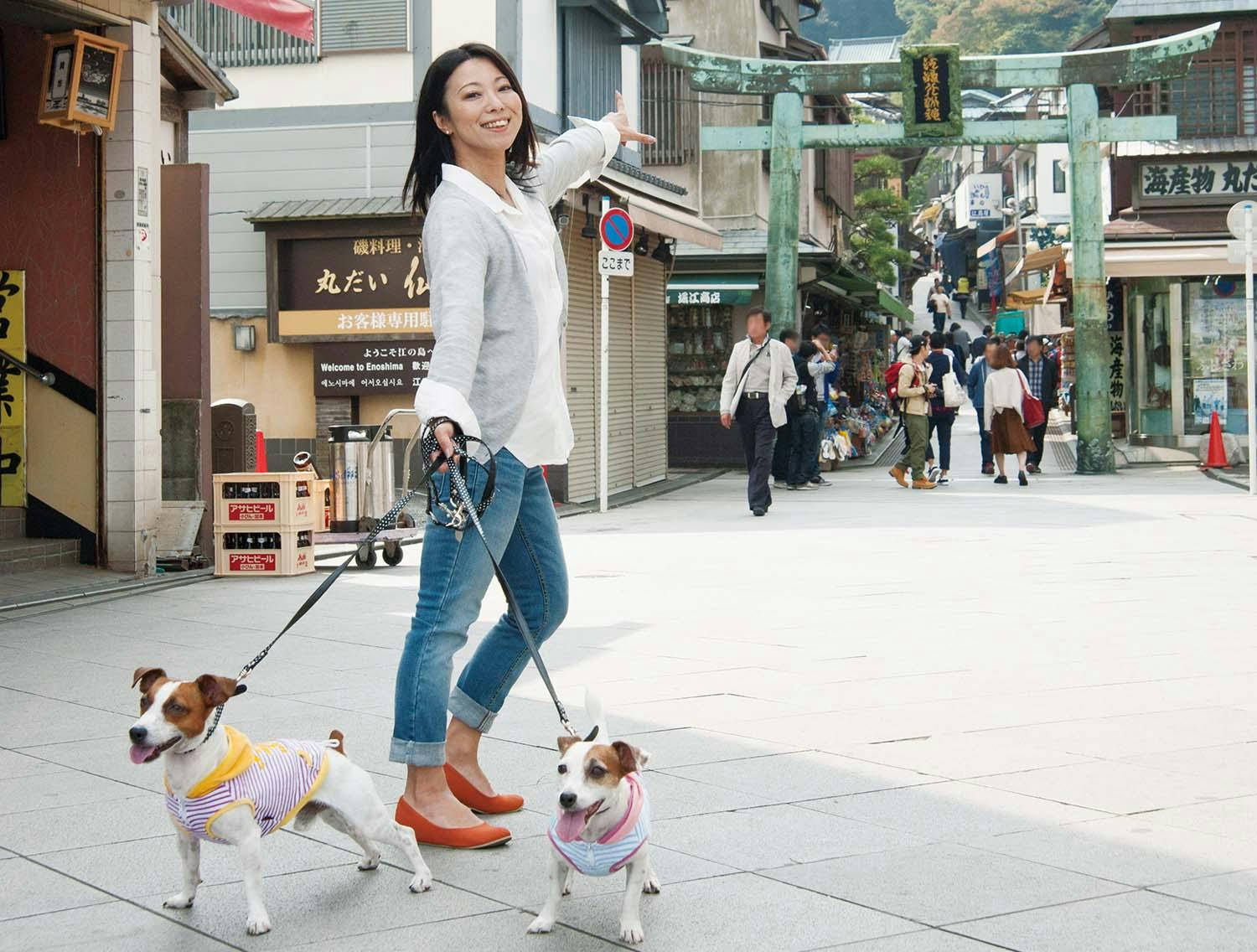 オーシャンビューを楽しむならここ さわやかな海風に吹かれるパワースポット散歩 江の島 Active おでかけ わんクォール