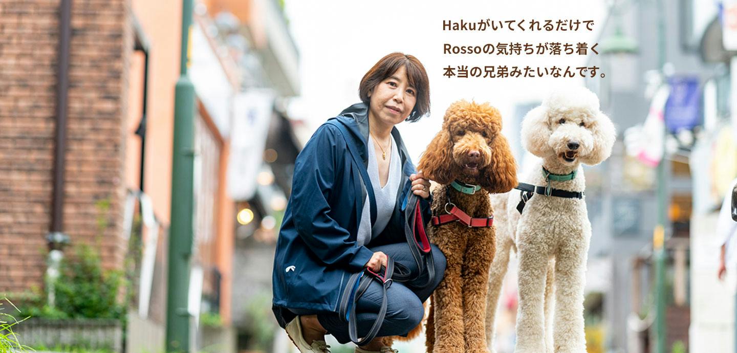 愛犬家の一日《WanScene071》さちえ & ハク・ロッソ（スタンダード