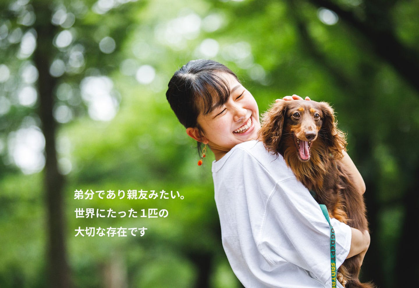 愛犬家の一日《WanScene077》ひかる & 愛介(ダックスフンド)