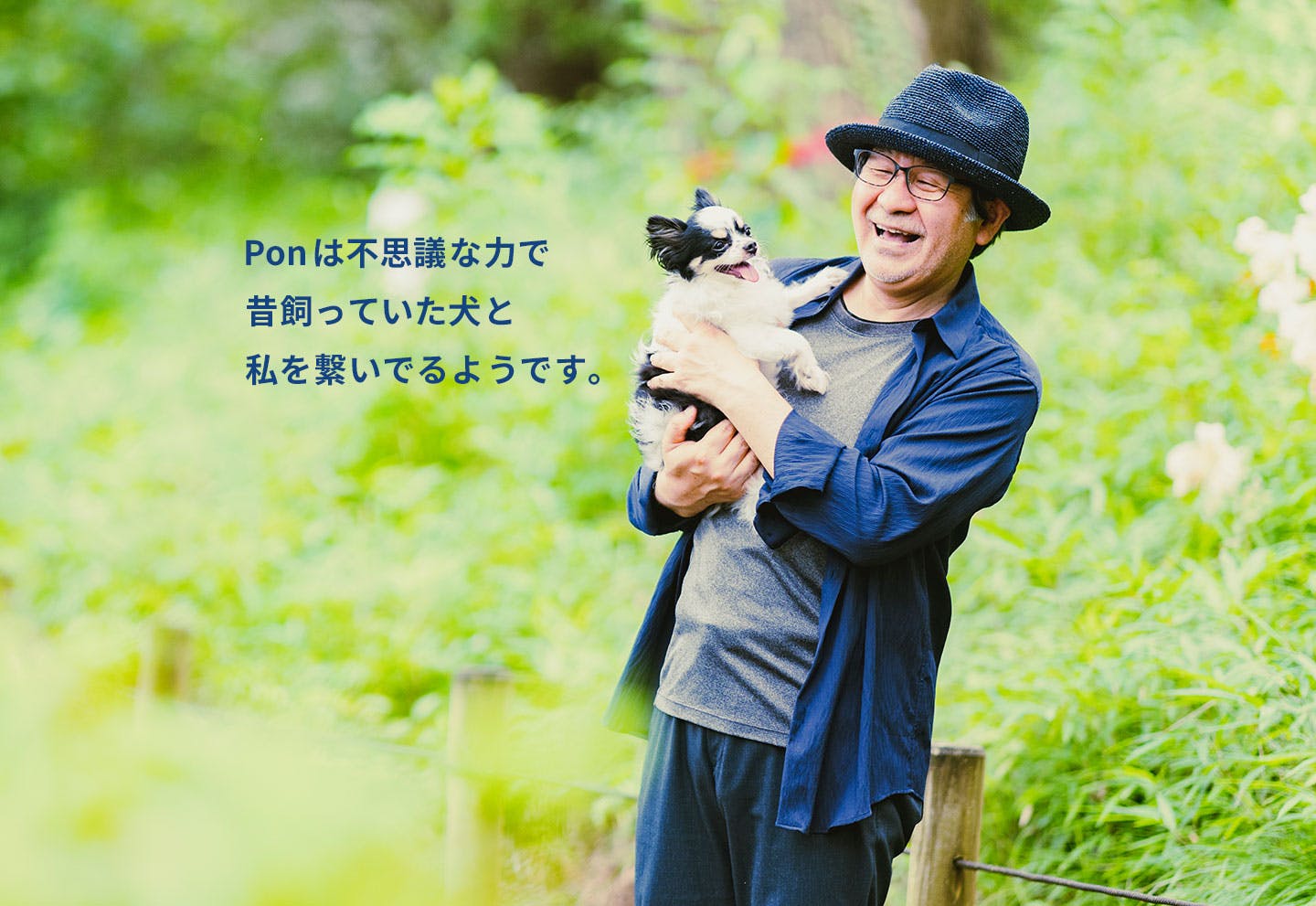 愛犬家の一日《WanScene86》 山地さん & ポン(チワワのミックス)